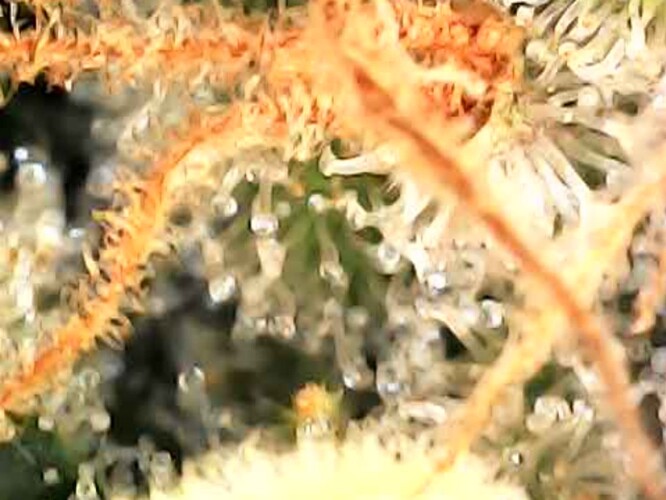 Photo_2024-04-28 13_37_19_729