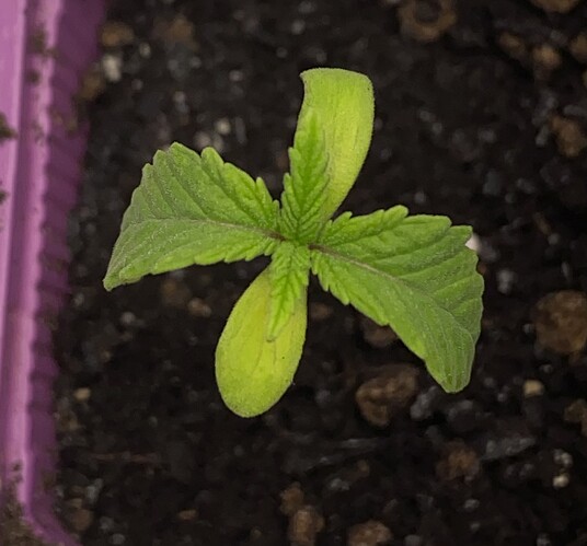 Growreport Bild 19