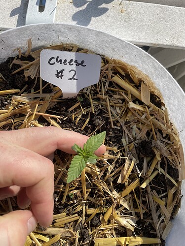 Growreport Bild 5