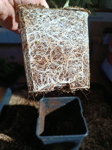 Growreport Bild 11