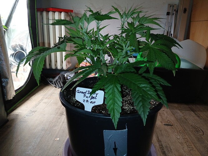 Growreport Bild 23