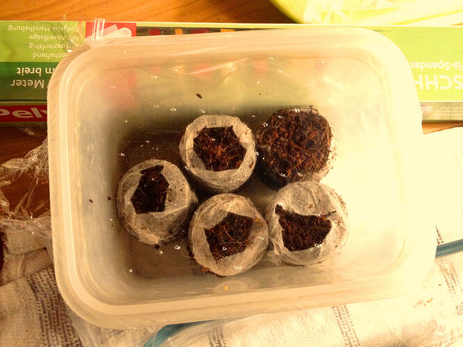 Grow26_0503_Aussaat1_08