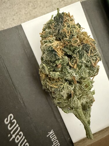 Growreport Bild 23