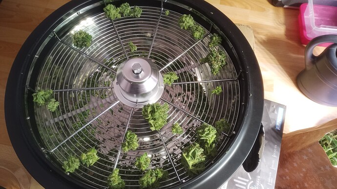 Growreport Bild 13