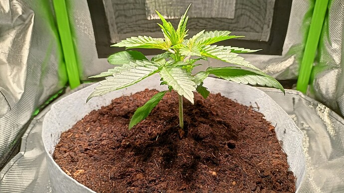 Growreport Bild 8