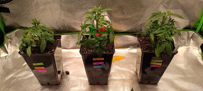 Growreport Bild 9