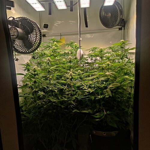 Growreport Bild 22