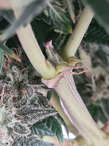 Growreport Bild 19