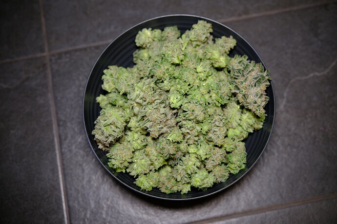 Growreport Bild 8