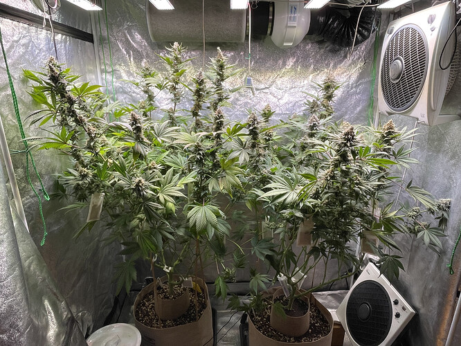 Growreport Bild 9