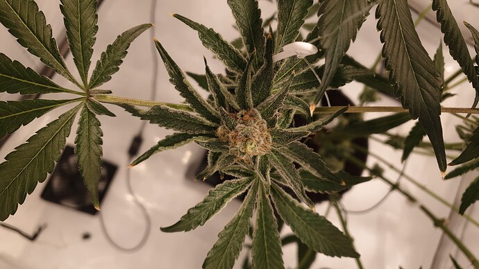 Growreport Bild 5