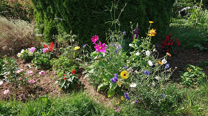 Growreport Bild 26
