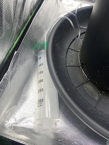 Growreport Bild 3