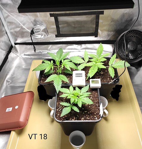 Growreport Bild 27
