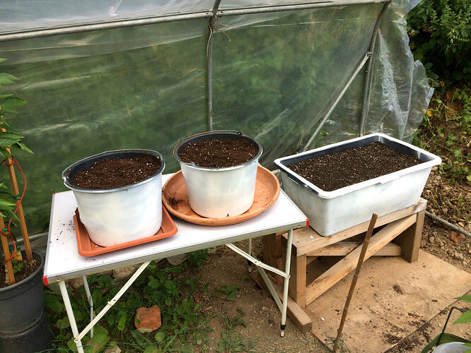 Grow26071302