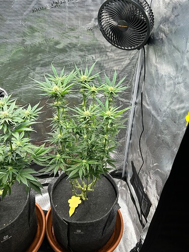 Growreport Bild 19