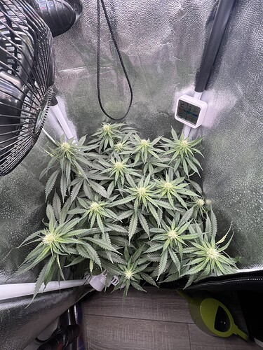 Growreport Bild 4