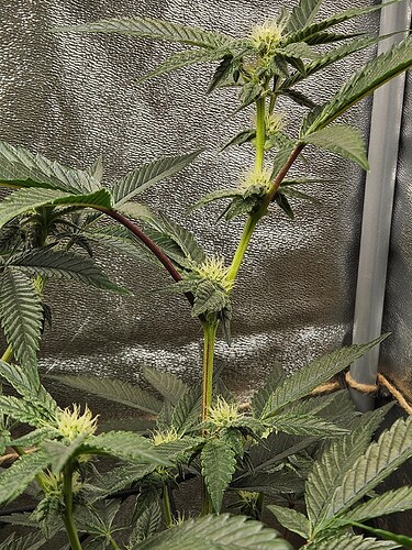 Growreport Bild 10
