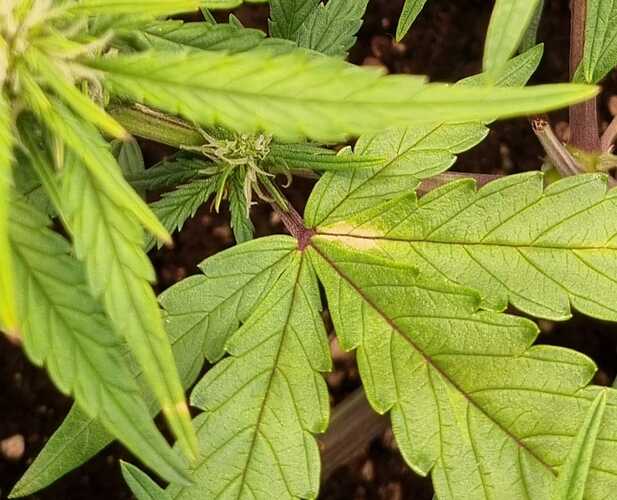 WhatsApp Bild 2024-06-23 um 18.49.50_d27ec8ad