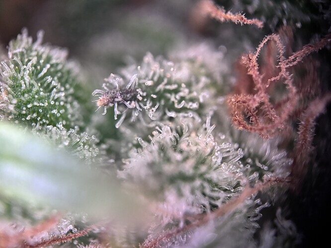 Growreport Bild 10