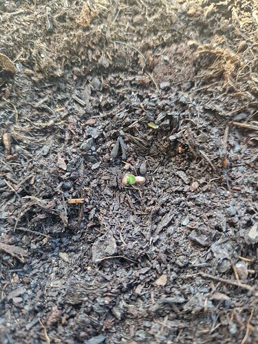 WhatsApp Image 2024-04-30 at 11.58.45