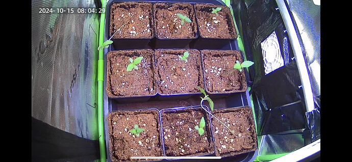 Growreport Bild 7
