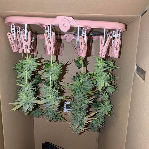 Growreport Bild 13