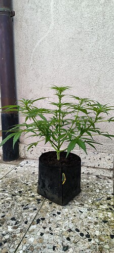 Growreport Bild 9