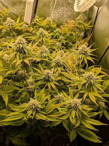 PXL_20240620_092947815