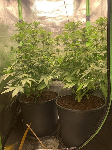 Growreport Bild 7