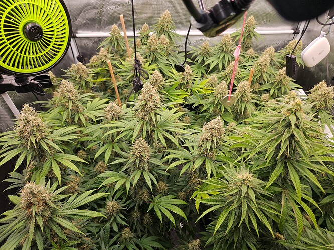 Growreport Bild 22