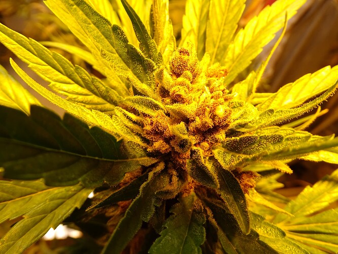Growreport Bild 22