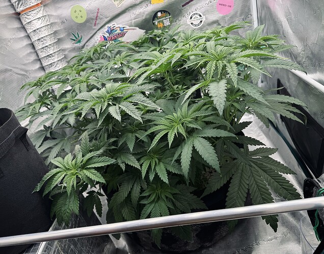Growreport Bild 8