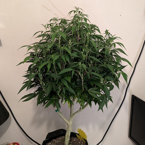 Growreport Bild 11