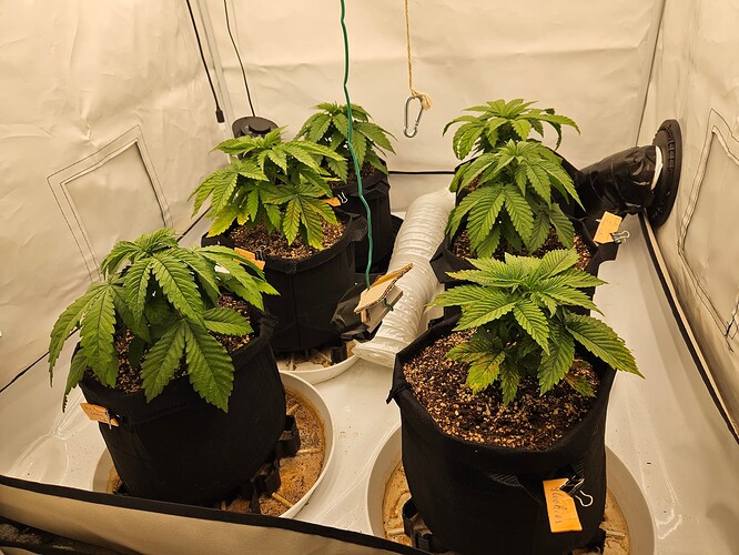Growreport Bild 11