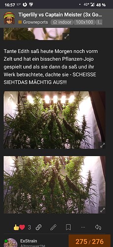 Growreport Bild 17