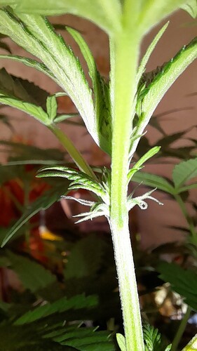 Growreport Bild 6