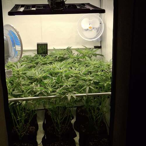 Growreport Bild 13