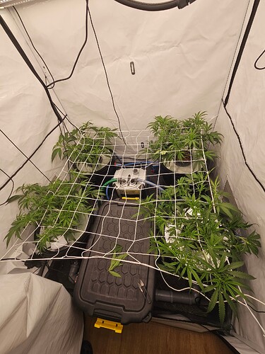 Growreport Bild 2