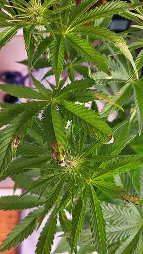 Growreport Bild 13