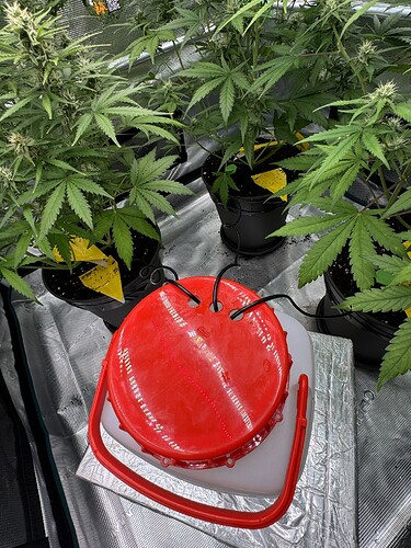 Growreport Bild 13