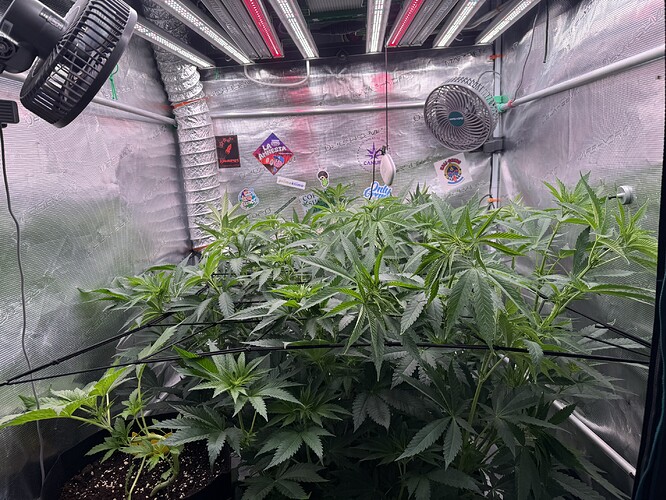 Growreport Bild 21