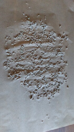 IMG-20250404-WA0011