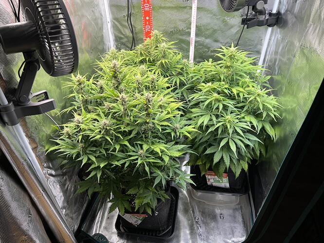Growreport Bild 24