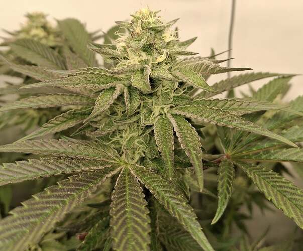 476357983_122167159760293599_5253670259262442450_n