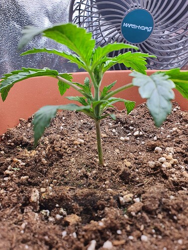 WhatsApp Image 2024-04-26 at 12.03.14