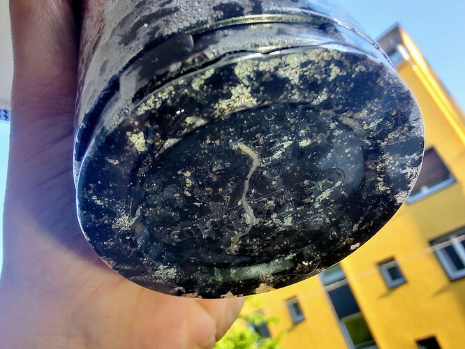 Growreport Bild 5