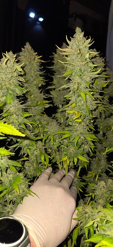 Growreport Bild 21