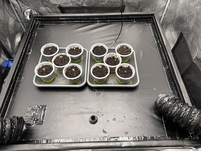 Growreport Bild 9