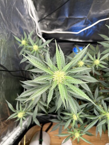 Growreport Bild 7
